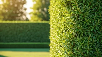 10 Speedy Trees for Instant Privacy and Lasting Landscape Beauty