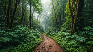 Rain Turns These Indian Trails Into Magic