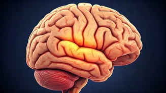 Young Adults: Know Stroke Warning Signs