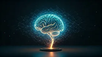 Related Stories banner