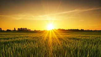 Ignite Your Day: Motivational Sparks for Indians