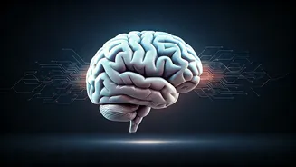 How AI Driven Health Insights Prevent Gen Z Burnout