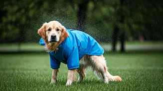 Quick Dry Microfibre Pet Raincoats Handle Sudden Outdoor Downpours