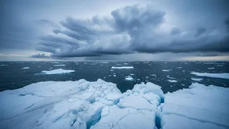 The New Arctic Cloud-Particle Study Brings Fresh Attention To Sea Ice Effects On Cloud Formation