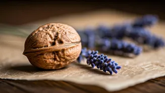 Unlocking Dessert Magic: The Enchanting Duo of Lavender and Walnuts
