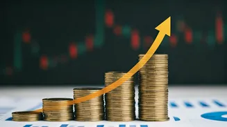 Income Tax Expectations: Budget 2026