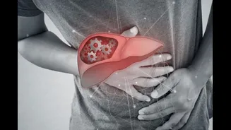 Related Stories banner