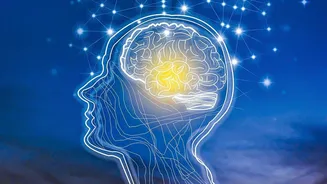 Frontier AI Fund Could Support Expensive Model Training Infrastructure