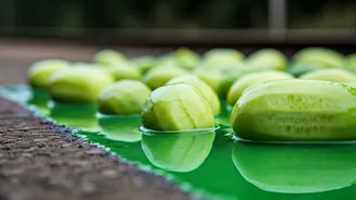 Bihar Cucumber Scandal: Green Dyeing at Katihar Station Sparks Outrage and Arrests