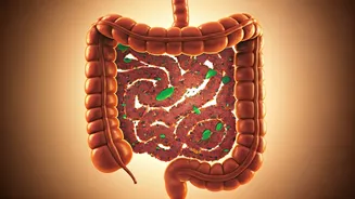 Gut Health Is Turning Fibre Into A Trend