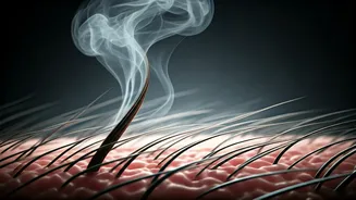 Experts Link Humidity To Seasonal Hair Fall