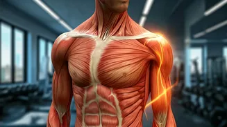 Namita Thapar's Comeback: Overcoming Menopause & Frozen Shoulder with Muscle Rebuilding