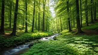 Find Inner Peace With These Daily Habits