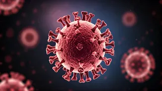 Bird Flu Alert: Understanding H5N1's Threat to Humans in India