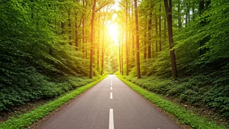 Long Walk vs. Short Walks: Benefits for Blood Sugar