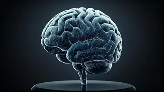 Understanding Social Anxiety: Symptoms & Coping