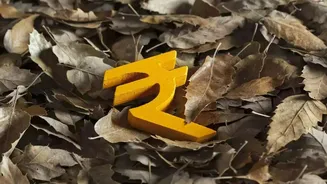 India Forex Reserves Fall $14.9 Billion: What's Behind the Sharpest Weekly Drop Since November 2024?