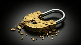 Matrimonial Site Scam: Engineer Duped of ₹1.75 Crore