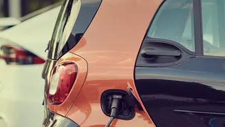 Smart Stacking Order Prevents Car Trunk Chaos On Four-Day Weekend Drives With Friends