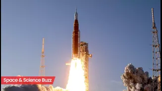 Science & Space Roundup: Top News of the Day (April 2)