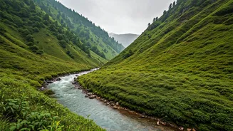 Rain-Light Getaways Beat Risky Hill Roads Sometimes