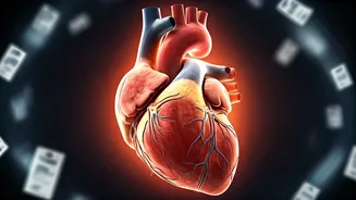 Related Stories banner