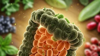 Herbs Can Make Your Gut Happy and Healthy