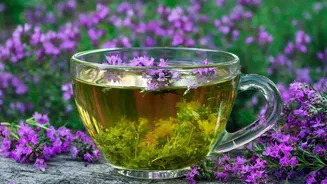 Can Rooibos Tea Help You Unwind Without Caffeine? Here's What To Know