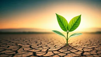 Bhumi Pednekar's Transformation: Health, Authenticity, and Shifting Priorities