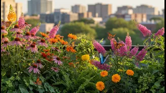 Butterflies Love These Balcony Plants More Than You Think