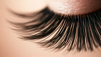 Unlocking Luscious Lashes: Your Guide to Eyelash Serums