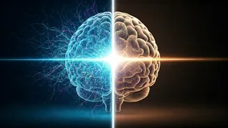 MIT Breakthrough: Chaotic Lasers Now Enable 25x Faster Brain Imaging for Disease Study