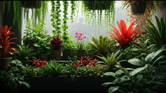 Monsoon Balcony Gardens Are Taking Over