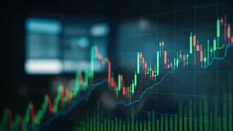 Indian Market Rebounds: Nifty Snaps Losing Streak