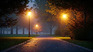 Can Walking After Dinner Improve Digestion? Experts Explain