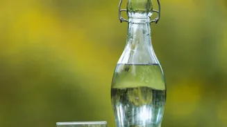 Electrolytes vs Plain Water: Essential Hydration Guide For Humid Post-Monsoon Weather
