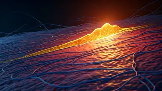 Unlocking Pain Relief: How a Hormone Fights Nerve Invasion in Spinal Degeneration