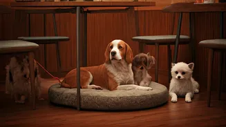 Why Community Cafés Welcome More Pets