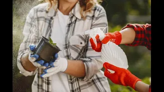 How to Protect Your Garden During a Heatwave