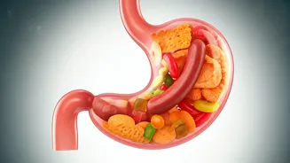Hidden Hazards: 5 Processed Food Toxins to Watch Out For