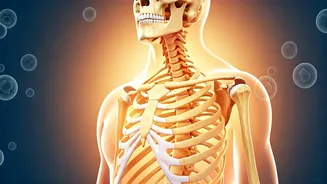 Unveiling Vitamin D's Power: More Than Just Bones, Why Deficiency is Rampant