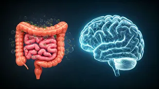 The Gut-Sleep Axis: How Your Sleep Habits Impact Digestion and Vice Versa