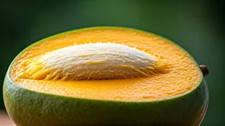 The Fascinating World Hidden Inside Every Mango
