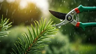 Gardeners Should Trim Before Rain Fuels Growth