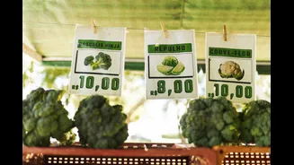 El Niño Threatens Global Food and Energy Prices