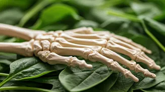 Is Calcium Deficiency Affecting You, Ladies?