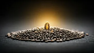 Chia Seeds: Your Gut Doctor's Anti-Inflammatory Powerhouse
