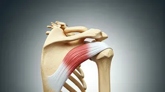 5 Shoulder Pain Relief Exercises: Simple Solutions