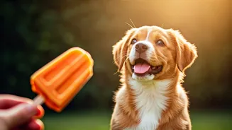 Keep Your Puppies Safe And Calm Via Pumpkin Popsicles