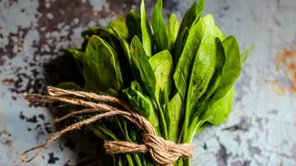 Leafy Greens Need Closer Inspection During India's Humid Monsoon Season
